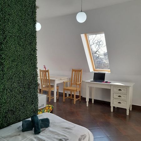 Pannonia Rooms And Apartments Satu Mare Zewnętrze zdjęcie